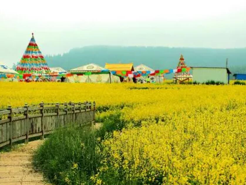 “天祝县历史遗留矿山综合治理工程” 社会稳定风险评估公示
