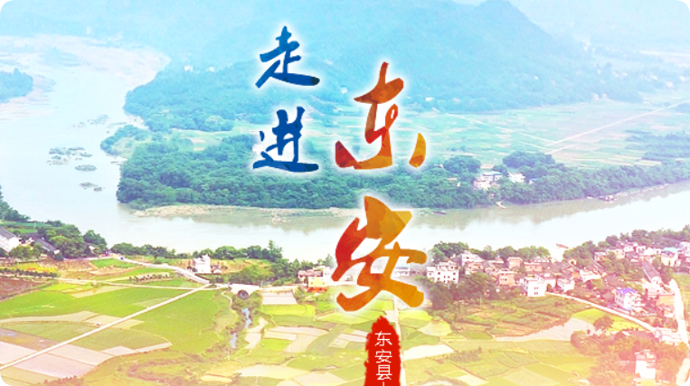 东安县国有土地上房屋征收社会稳定风险评估办法